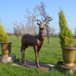 Deer Statue Close Up